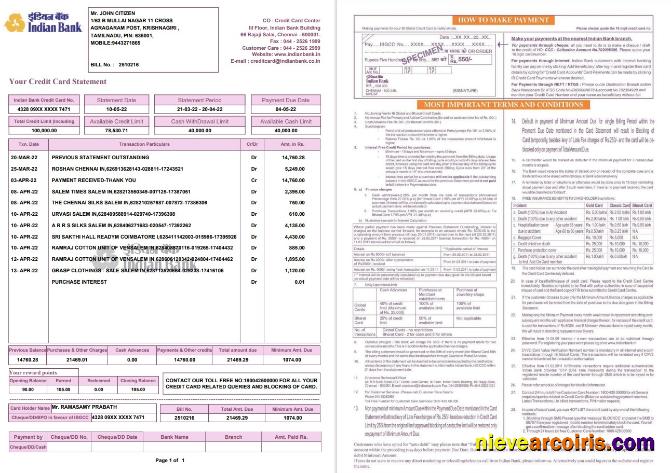Indian bank credit card statement 2 pages